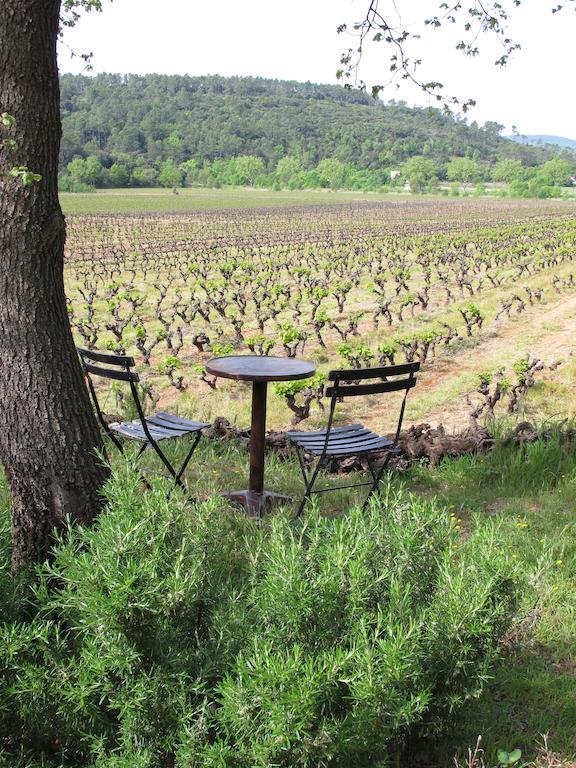 Les Pierres Sauvages Bed & Breakfast Besse-sur-Issole Ngoại thất bức ảnh