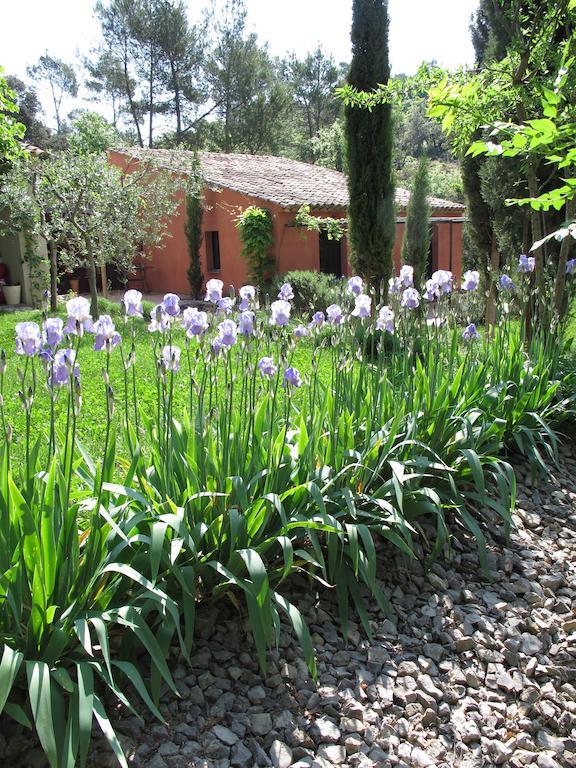 Les Pierres Sauvages Bed & Breakfast Besse-sur-Issole Ngoại thất bức ảnh